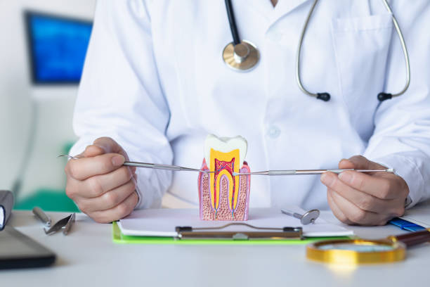 Best Emergency Treatment for Dental Infections or Abscesses in Eagle Lake, FL